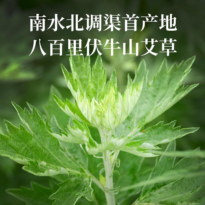 批发1kg纯艾草粉 60-120目艾叶养殖饲料泡脚包原料艾粉大量现货